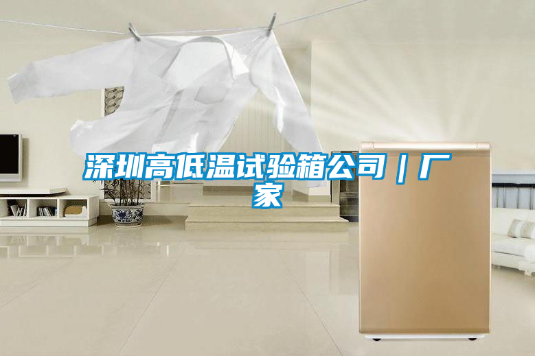 深圳高低溫試驗(yàn)箱公司｜廠家