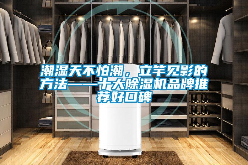 潮濕天不怕潮，立竿見(jiàn)影的方法——十大除濕機(jī)品牌推薦好口碑