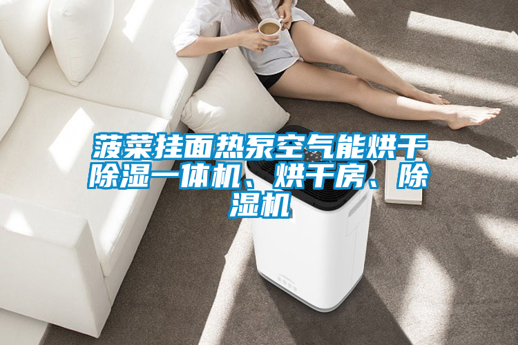 菠菜掛面熱泵空氣能烘干除濕一體機(jī)、烘干房、除濕機(jī)