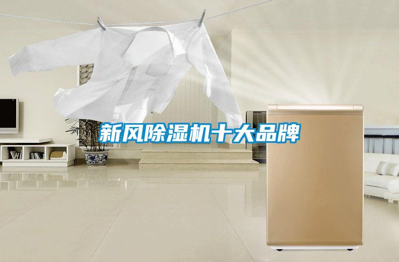 新風(fēng)除濕機十大品牌