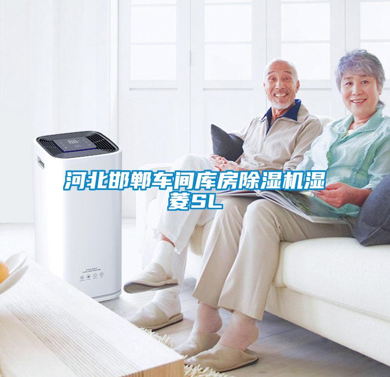 河北邯鄲車間庫房除濕機(jī)濕菱SL