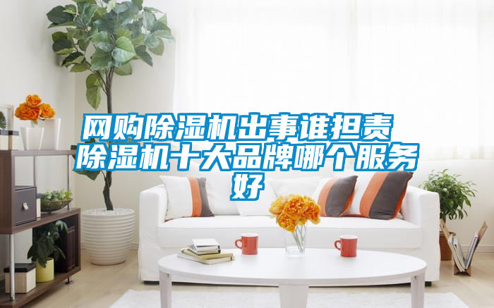 網(wǎng)購除濕機(jī)出事誰擔(dān)責(zé) 除濕機(jī)十大品牌哪個(gè)服務(wù)好