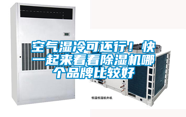 空氣濕冷可還行！快一起來看看除濕機(jī)哪個品牌比較好