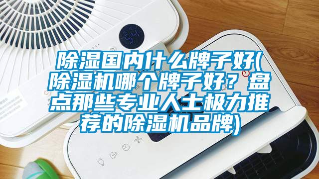 除濕國(guó)內(nèi)什么牌子好(除濕機(jī)哪個(gè)牌子好？盤點(diǎn)那些專業(yè)人士極力推薦的除濕機(jī)品牌)