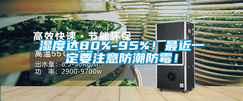 濕度達(dá)80%-95%！最近一定要注意防潮防霉！