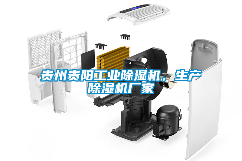 貴州貴陽工業(yè)除濕機(jī)，生產(chǎn)除濕機(jī)廠家