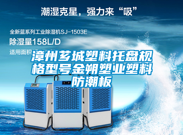 漳州薌城塑料托盤(pán)規(guī)格型號(hào)金朔塑業(yè)塑料防潮板