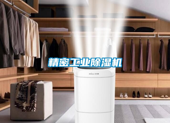 精密工業(yè)除濕機