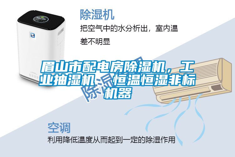 眉山市配電房除濕機(jī)，工業(yè)抽濕機(jī)  恒溫恒濕非標(biāo)機(jī)器