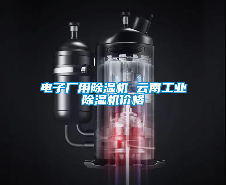 電子廠用除濕機 云南工業(yè)除濕機價格