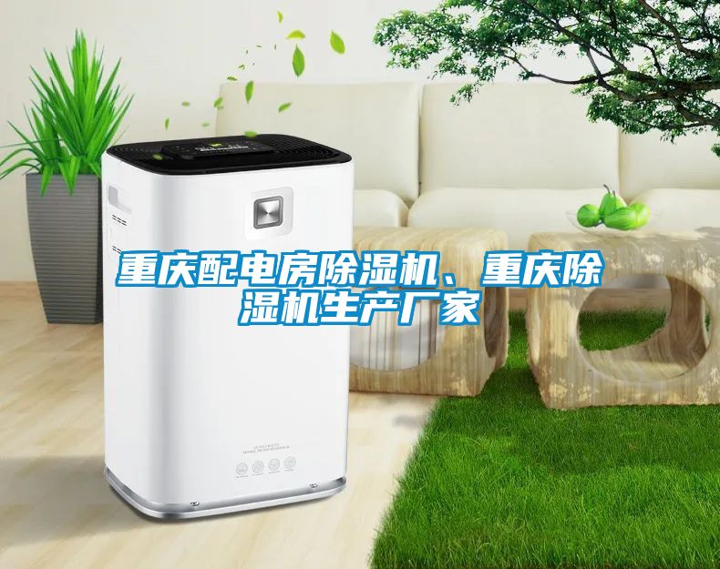 重慶配電房除濕機(jī)、重慶除濕機(jī)生產(chǎn)廠家