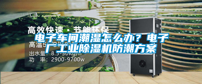 電子車間潮濕怎么辦？電子廠工業(yè)除濕機防潮方案