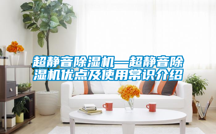 超靜音除濕機(jī)—超靜音除濕機(jī)優(yōu)點及使用常識介紹