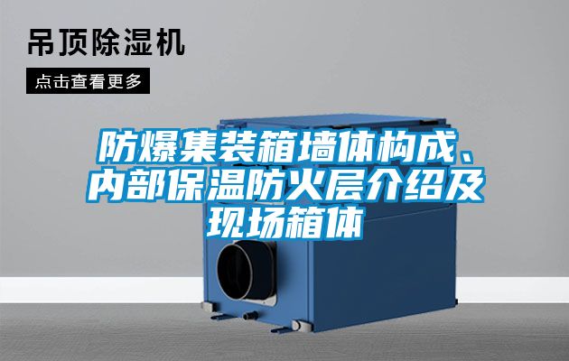 防爆集裝箱墻體構(gòu)成、內(nèi)部保溫防火層介紹及現(xiàn)場箱體