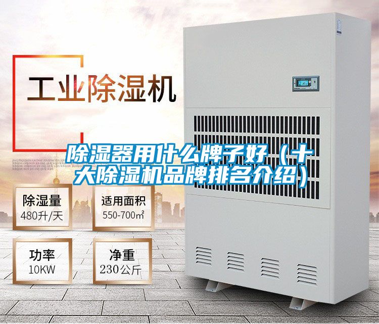 除濕器用什么牌子好（十大除濕機(jī)品牌排名介紹）
