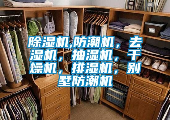 除濕機(jī),防潮機(jī)，去濕機(jī)，抽濕機(jī)，干燥機(jī)，排濕機(jī)，別墅防潮機(jī)