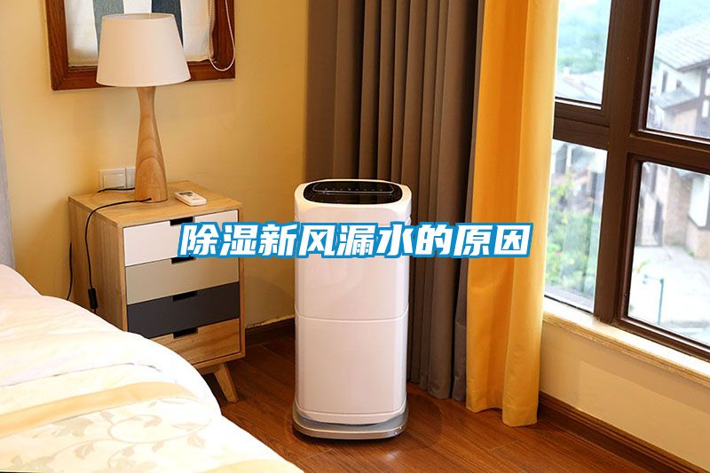 除濕新風(fēng)漏水的原因