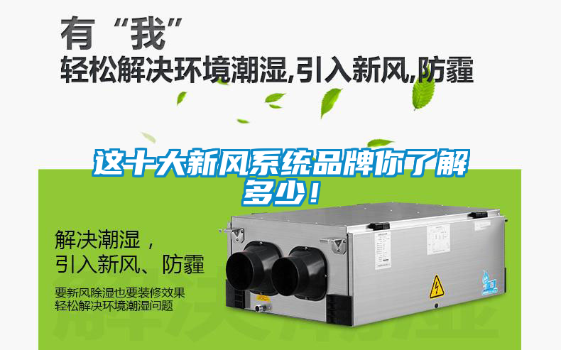 這十大新風系統(tǒng)品牌你了解多少！