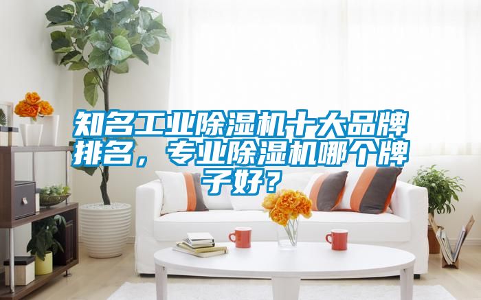 知名工業(yè)除濕機十大品牌排名，專業(yè)除濕機哪個牌子好？
