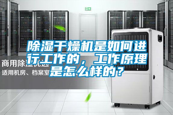 除濕干燥機是如何進行工作的，工作原理是怎么樣的？