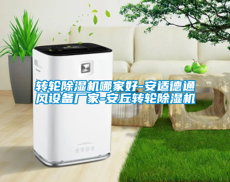 轉(zhuǎn)輪除濕機哪家好-安適德通風設(shè)備廠家-安丘轉(zhuǎn)輪除濕機
