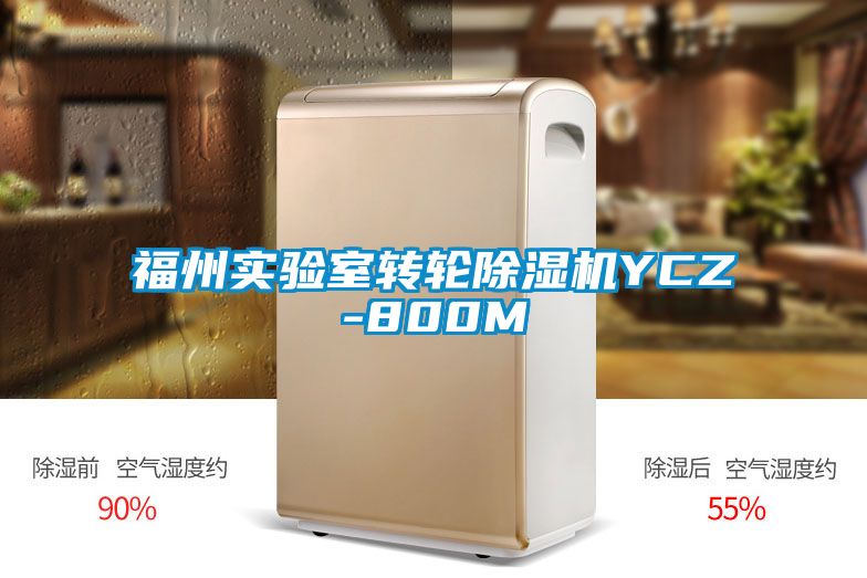 福州實(shí)驗(yàn)室轉(zhuǎn)輪除濕機(jī)YCZ-800M