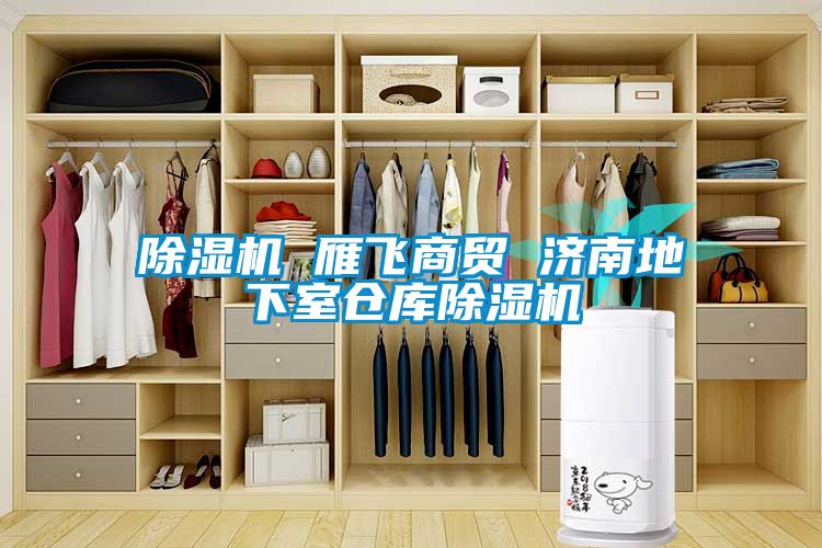 除濕機(jī) 雁飛商貿(mào) 濟(jì)南地下室倉(cāng)庫(kù)除濕機(jī)