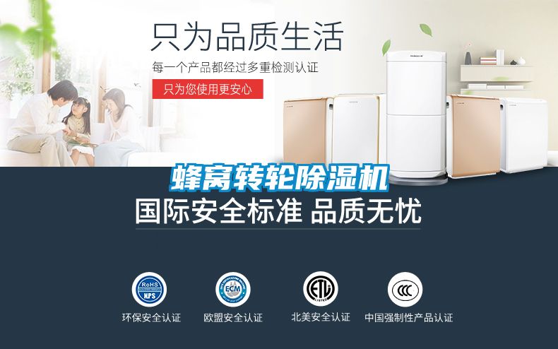 蜂窩轉(zhuǎn)輪除濕機(jī)
