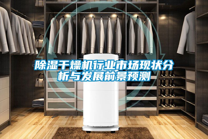 除濕干燥機行業(yè)市場現(xiàn)狀分析與發(fā)展前景預測