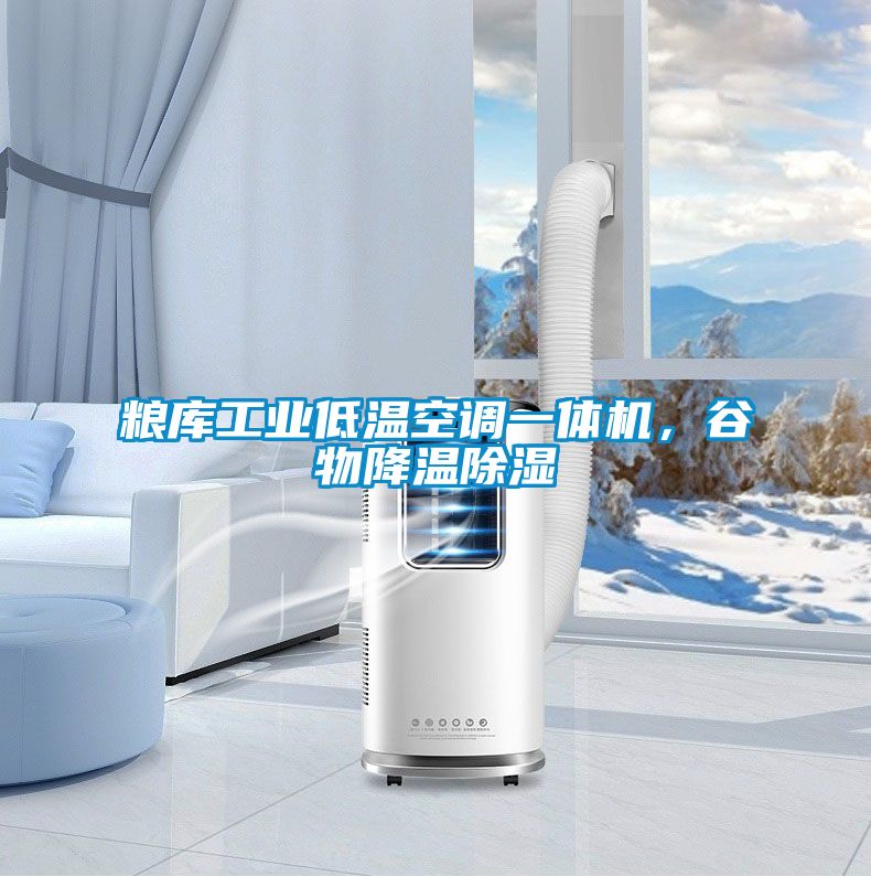 糧庫工業(yè)低溫空調(diào)一體機，谷物降溫除濕