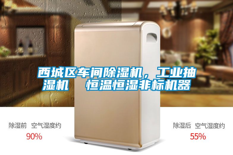 西城區(qū)車間除濕機(jī)，工業(yè)抽濕機(jī)  恒溫恒濕非標(biāo)機(jī)器