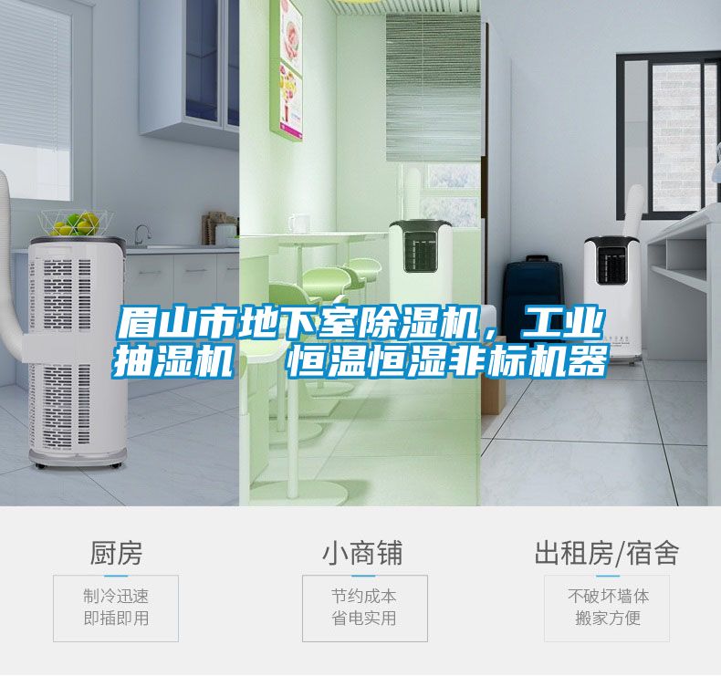 眉山市地下室除濕機(jī)，工業(yè)抽濕機(jī)  恒溫恒濕非標(biāo)機(jī)器