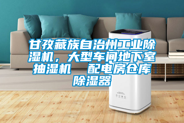 甘孜藏族自治州工業(yè)除濕機(jī)，大型車間地下室抽濕機(jī)  配電房倉(cāng)庫(kù)除濕器