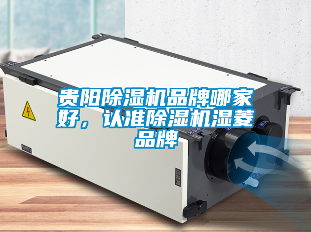 貴陽除濕機(jī)品牌哪家好，認(rèn)準(zhǔn)除濕機(jī)濕菱品牌