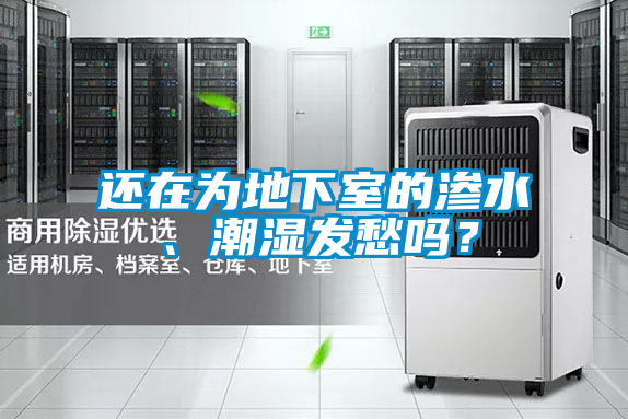 還在為地下室的滲水、潮濕發(fā)愁嗎？