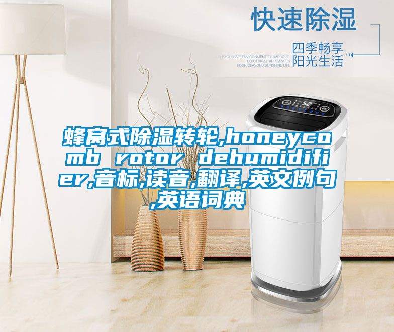 蜂窩式除濕轉(zhuǎn)輪,honeycomb rotor dehumidifier,音標(biāo),讀音,翻譯,英文例句,英語詞典