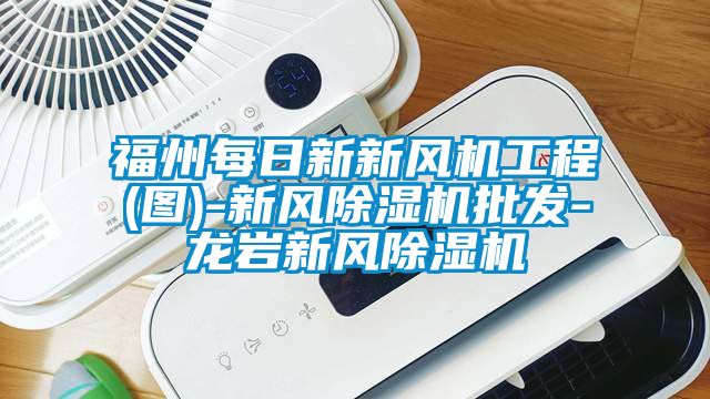 福州每日新新風(fēng)機(jī)工程(圖)-新風(fēng)除濕機(jī)批發(fā)-龍巖新風(fēng)除濕機(jī)