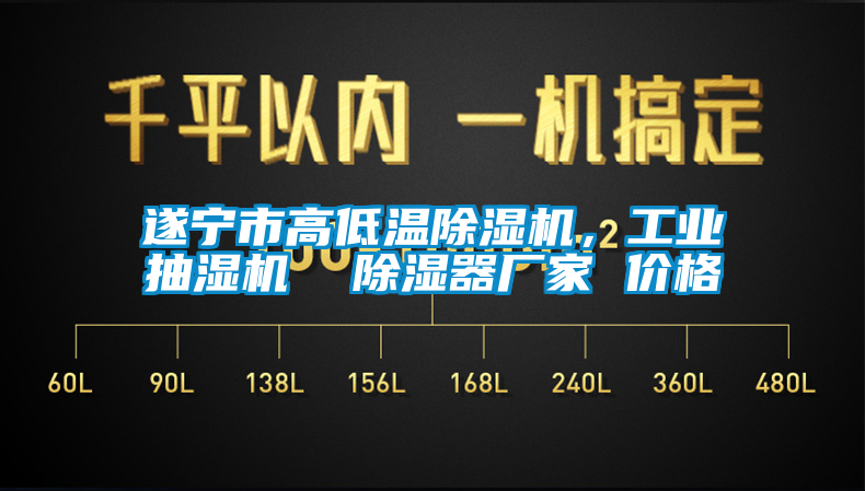 遂寧市高低溫除濕機(jī)，工業(yè)抽濕機(jī)  除濕器廠家 價(jià)格