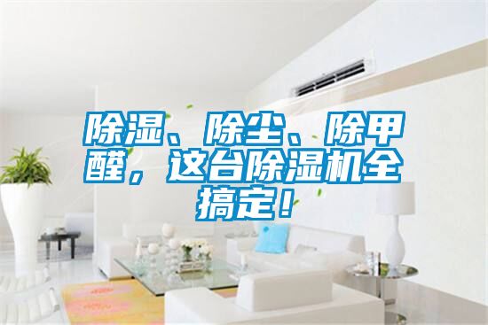 除濕、除塵、除甲醛，這臺(tái)除濕機(jī)全搞定！