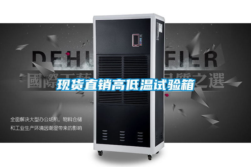 現(xiàn)貨直銷(xiāo)高低溫試驗(yàn)箱