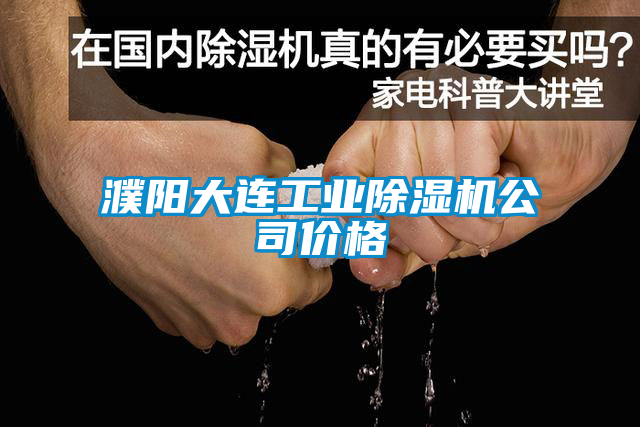 濮陽大連工業(yè)除濕機公司價格