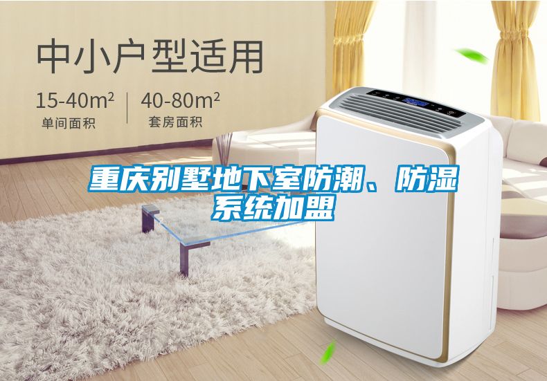 重慶別墅地下室防潮、防濕系統(tǒng)加盟