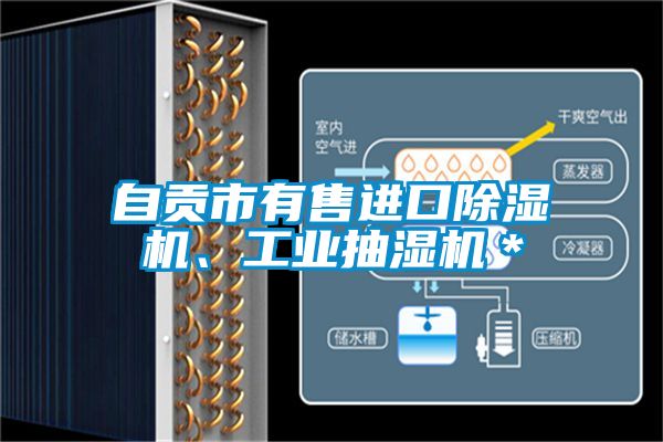 自貢市有售進(jìn)口除濕機(jī)、工業(yè)抽濕機(jī)＊