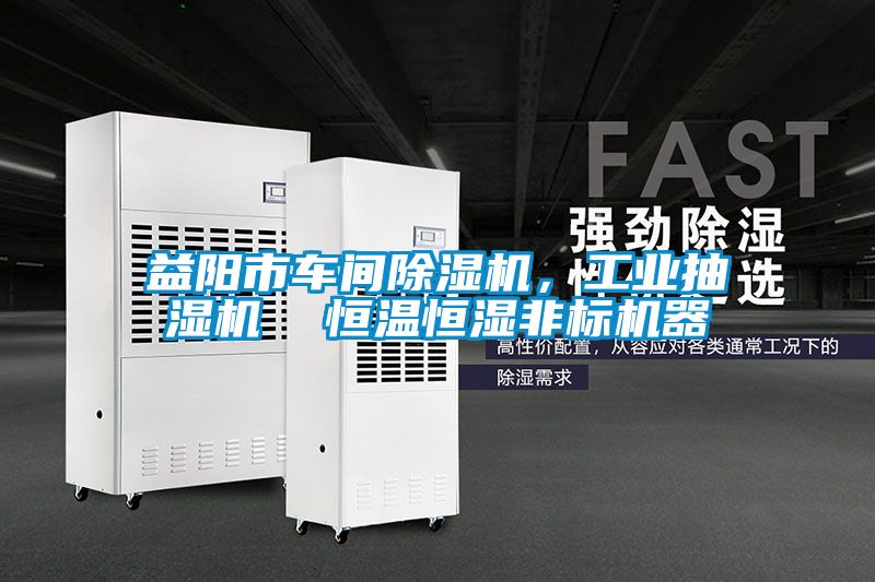 益陽市車間除濕機(jī)，工業(yè)抽濕機(jī)  恒溫恒濕非標(biāo)機(jī)器