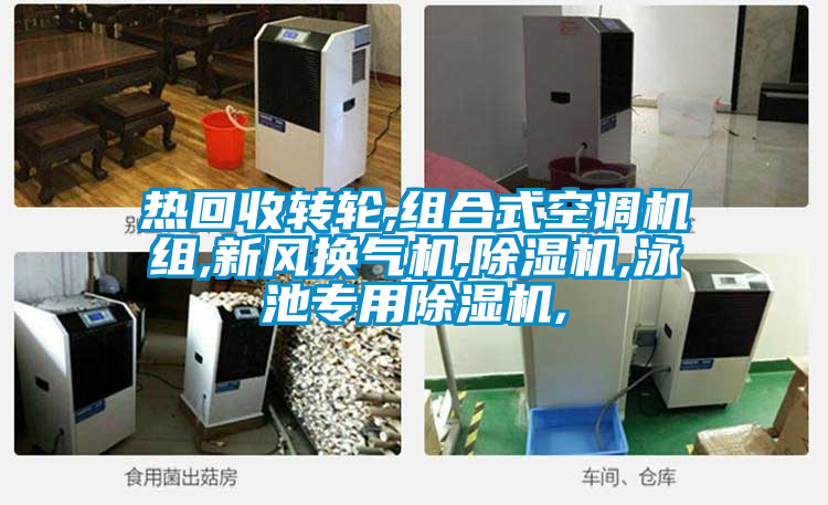 熱回收轉(zhuǎn)輪,組合式空調(diào)機組,新風換氣機,除濕機,泳池專用除濕機,
