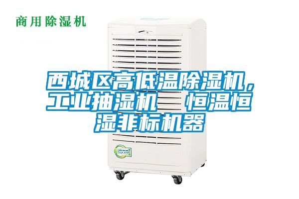 西城區(qū)高低溫除濕機(jī)，工業(yè)抽濕機(jī)  恒溫恒濕非標(biāo)機(jī)器