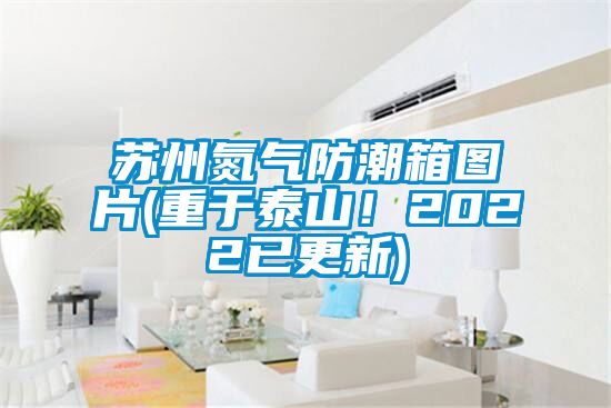 蘇州氮氣防潮箱圖片(重于泰山！2022已更新)