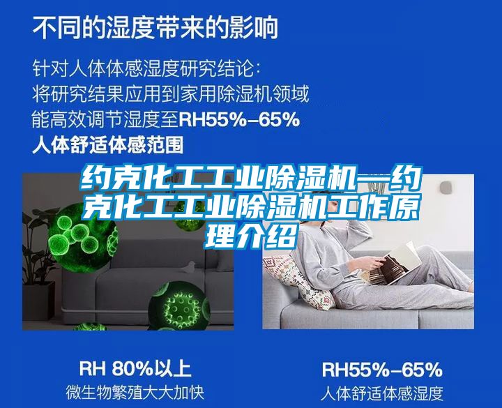 約克化工工業(yè)除濕機—約克化工工業(yè)除濕機工作原理介紹