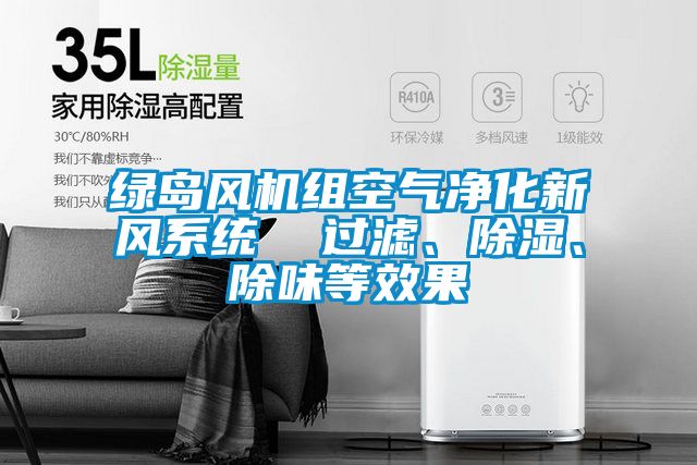 綠島風(fēng)機(jī)組空氣凈化新風(fēng)系統(tǒng)  過(guò)濾、除濕、除味等效果