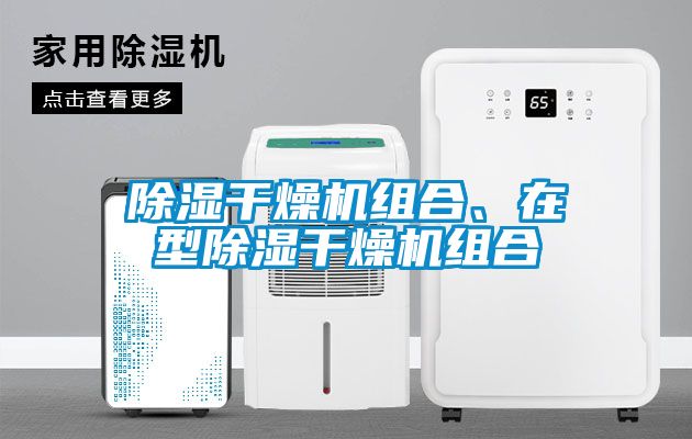 除濕干燥機組合、在型除濕干燥機組合